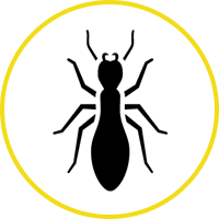 Termite Icon