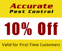 10% Off, Valid for First-Time Customers